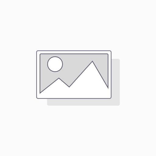 Sample Consulting Fee